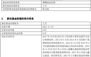 鑫元基金管理有限公司关于基金经理休假期间由他人代为履行职责的公告