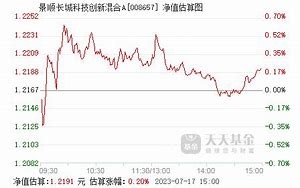 景顺长城中证港股通科技基金净值下跌分析市场波动与投资策略的考量