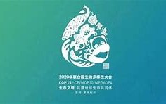 昆明生物多样性基金正式启动力争首批项目在前落地