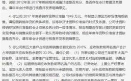 夜幕下的问询家股公司年报背后的深度解读