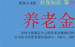 公募基金半年盘点近半数实现正收益，养老基金表现突出