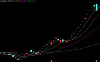 股票行情快报：沪科（）月日主力资金净买入万元