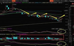 股票行情快报：山东黄金（）月日主力资金净买入万元