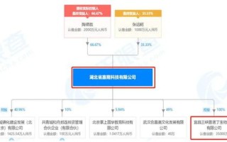 福龙马公司资金管理策略聚焦日常运营，暂缓理财产品投资