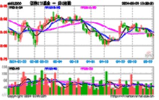 南方中证全指证券公司基金净值分析市场动态与投资策略