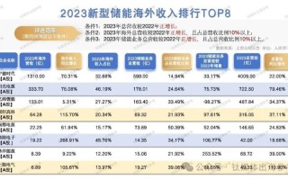 扬帆远航探索公司海外业务收入占比过半的持续增长之路