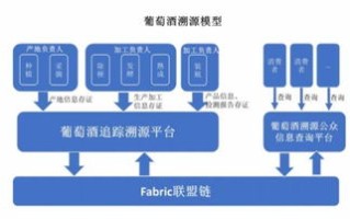 区块链大咖简介