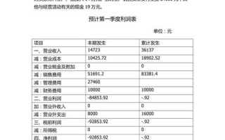 项目计划财务分析怎么写