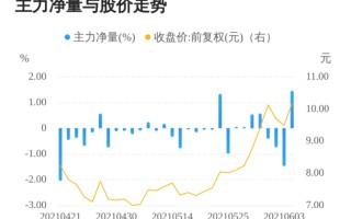 金枫酒业主力资金净卖出分析市场动态与投资策略