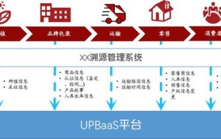 推动财务数字化转型