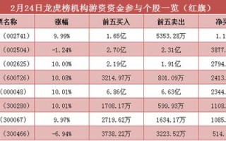 深康佳A遭遇主力资金净卖出市场动态与投资策略分析