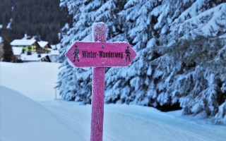 雪迷宫迷雾重重，东北美食成解谜新线索