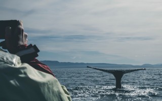 海洋奇缘2发布正式预告，再度点燃期待之火