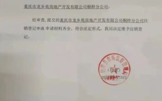 区块链公司注销公示流程