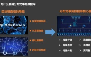 区块链联盟链项目