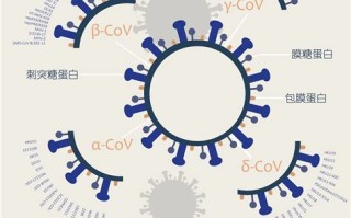 区块链技术在新冠肺炎中的应用