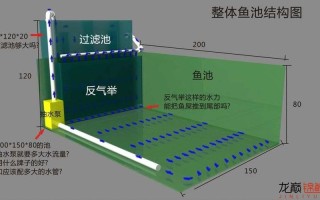 家庭养鱼池设计图