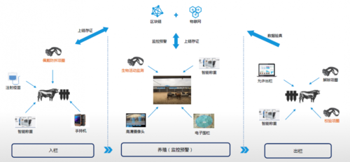 1.供应链管理-第1张图片-财来区块链学库