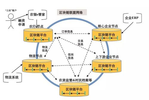 1.法律法规和监管政策-第1张图片-财来区块链学库