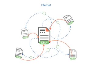 π社区区块链-第1张图片-财来区块链学库