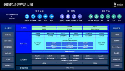 蚂蚁区块链官网-第1张图片-财来区块链学库