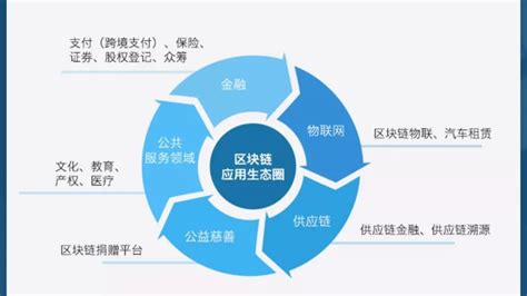 美国区块链应用有哪些领域呢-第1张图片-财来区块链学库