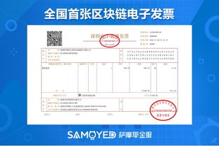 区块链电子投票-第1张图片-财来区块链学库