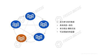 公共区块链以什么为主体-第1张图片-财来区块链学库