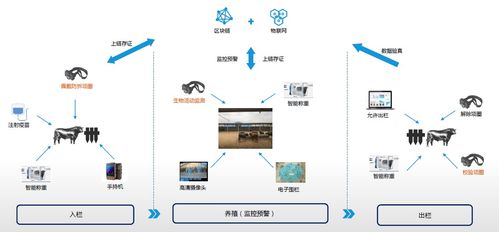 区块链在保险行业的应用现状与展望-第1张图片-财来区块链学库