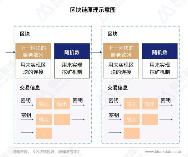 区块链信息包括哪些-第1张图片-财来区块链学库