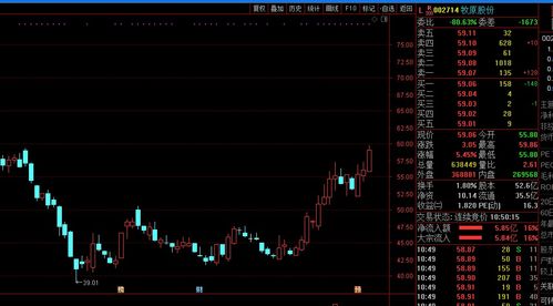 华创云信主力资金净买入分析市场信心与投资机会探讨-第1张图片-财来区块链学库