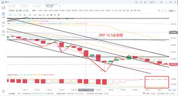 瑞波币特币今日价格-第1张图片-财来区块链学库