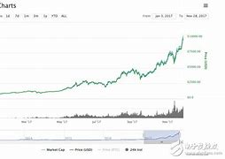 揭秘比特币持有数量前十大佬数字黄金的幕后掌控者-第1张图片-财来区块链学库