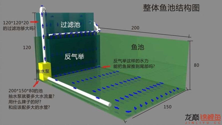 家庭养鱼池设计图-第1张图片-财来区块链学库